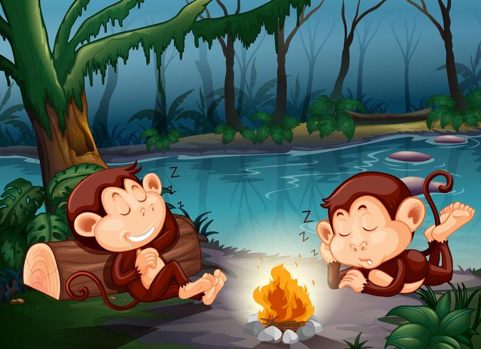 Monkey sleeping in the forest vector