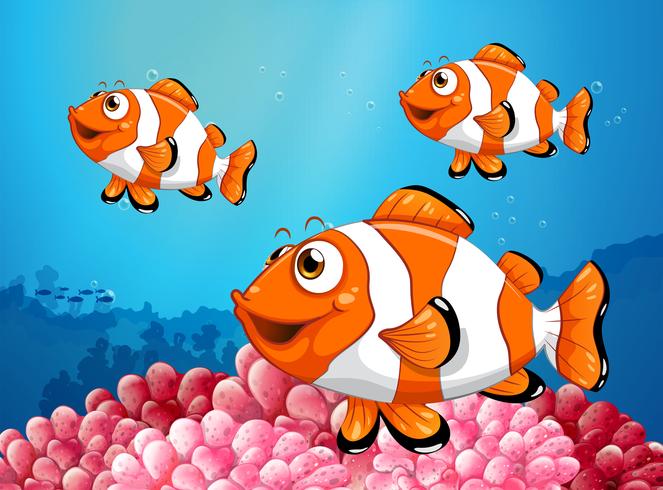 Three clownfish under the ocean vector