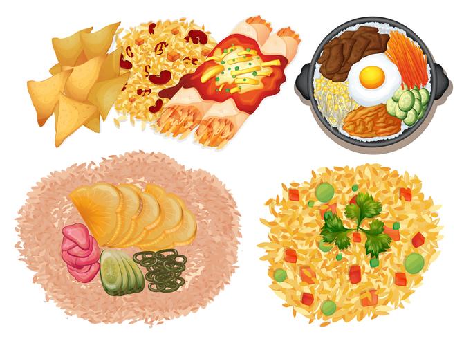 Different kinds of food on white background vector