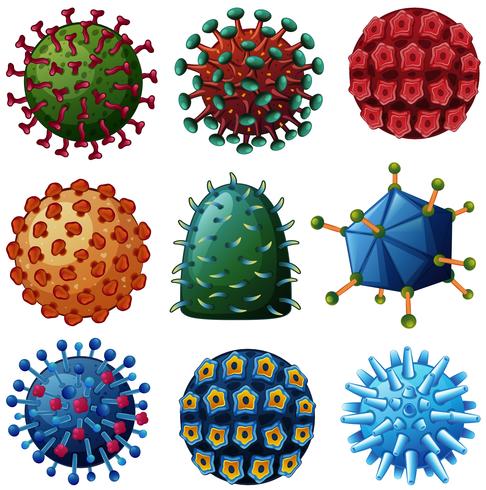 Diferentes tipos de virus vector