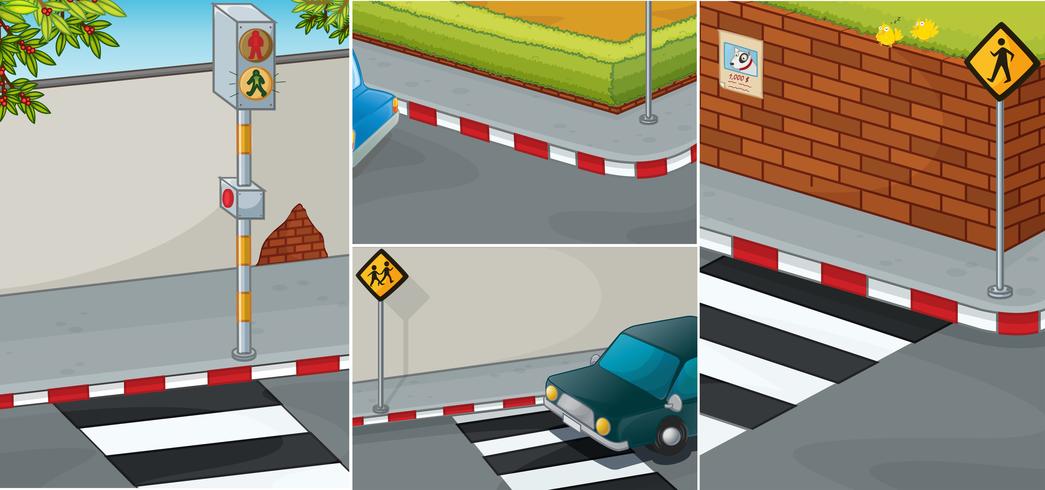 Road scenes with zebra crossing vector