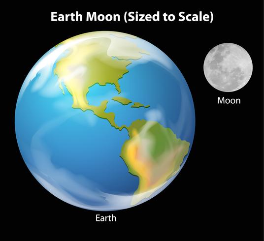 Earth Moon to scale vector