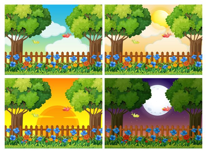 Four scenes of garden at different times vector