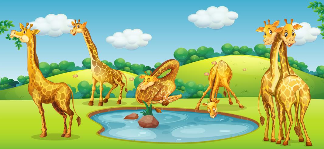 Happy giraffe in the nature vector