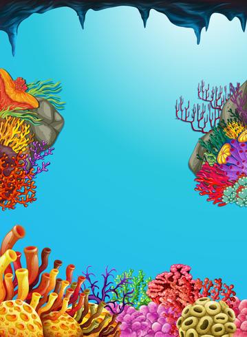 Scene with coral reef underwater vector