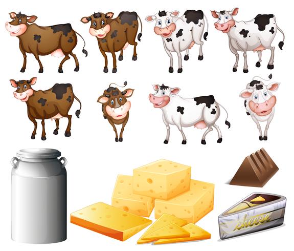 Vacas y productos lácteos. vector