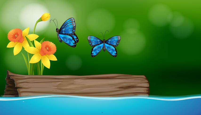 Two butterflies flying over the river vector