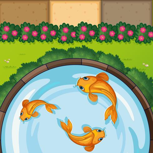 Three fish in the pond vector