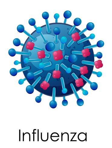 Influenza virus on white background vector