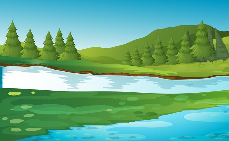 Escena con pinos junto al río. vector