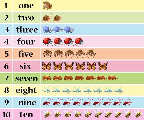 Number one to ten with insects in table vector