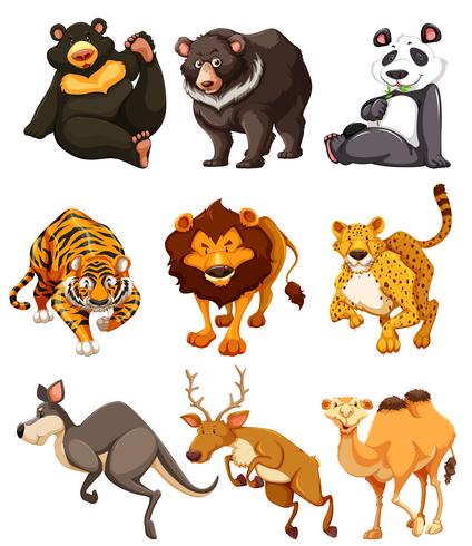 Set of wild animal character vector