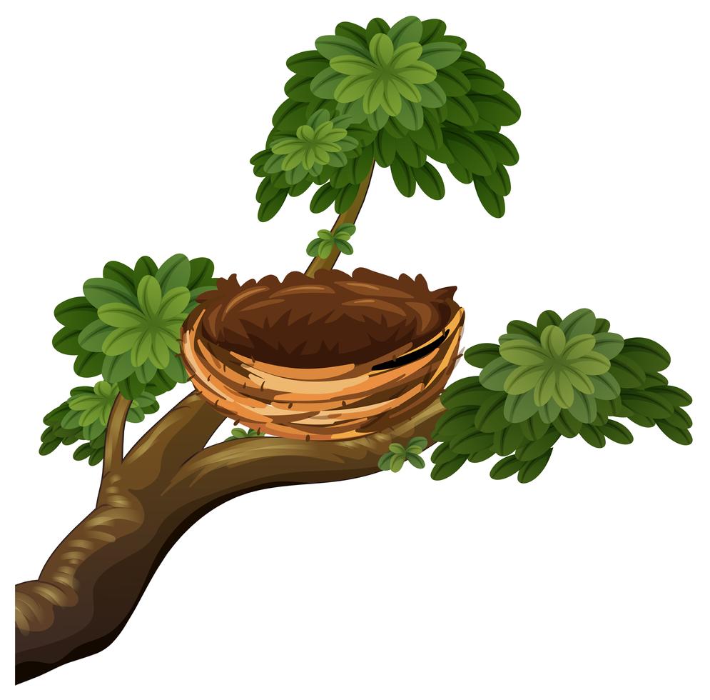 Bird nest on branches 446256 Vector Art at Vecteezy Bird nest on branches 446256 Vector Art at Vecteezy