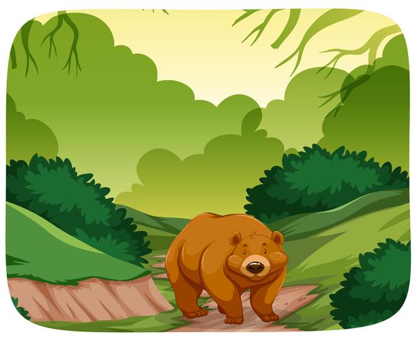 Un oso en el bosque vector