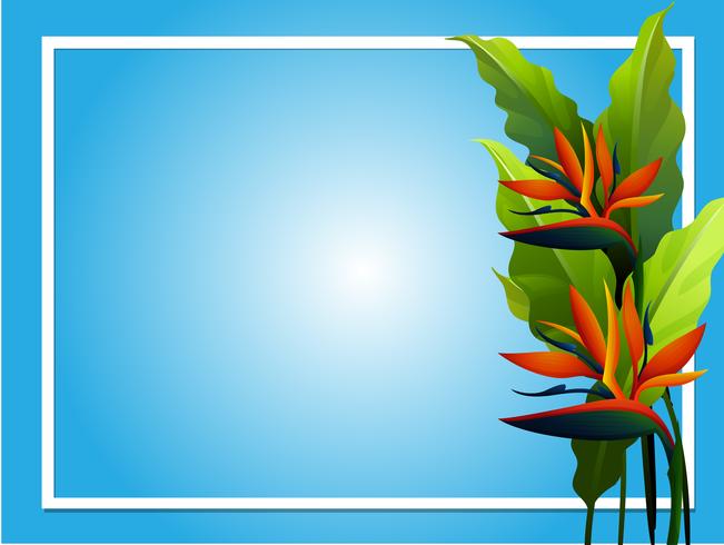 Frame design with bird of paradise flower vector