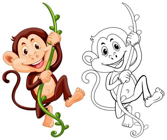 Drafting animal for monkey on vine vector