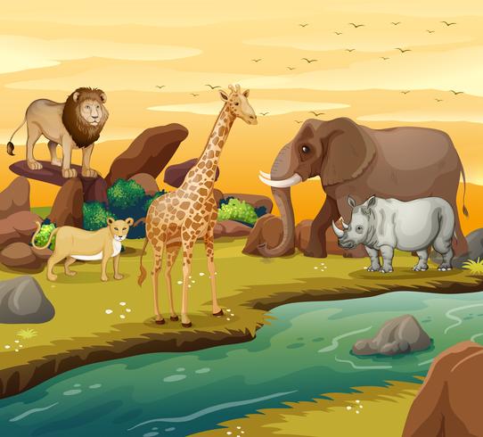 Wild animals on the river bank vector