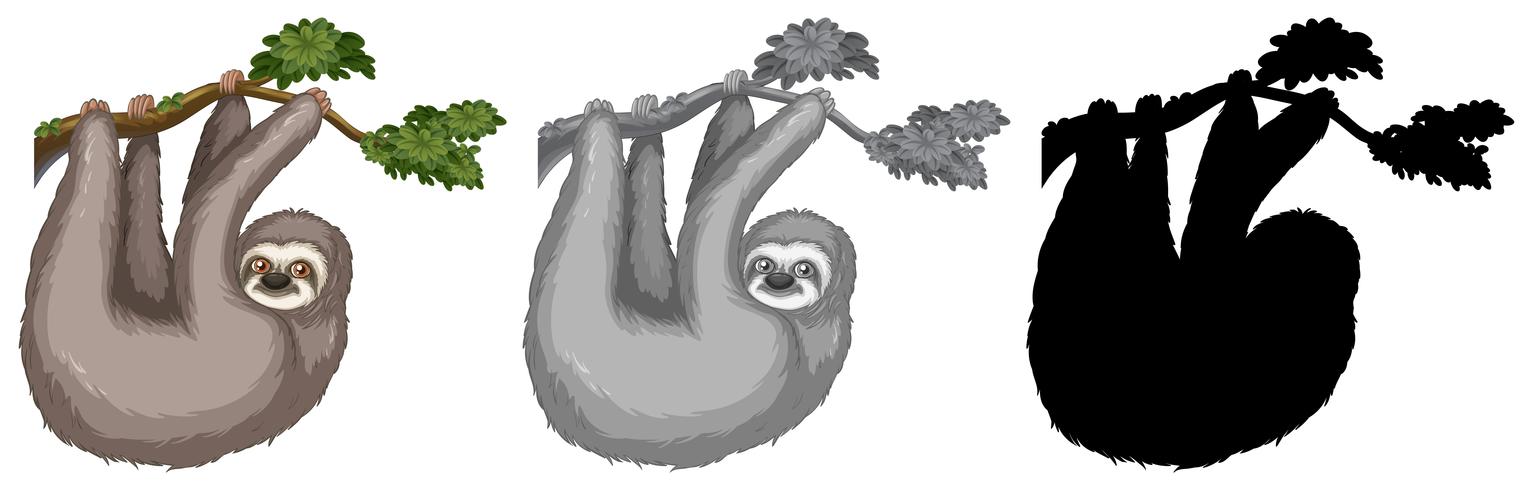 Set of sloth hanging on tree branch vector