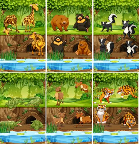 Large set of animals in jungle  vector