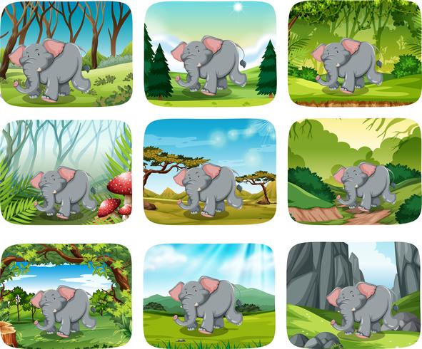 Elefante corriendo en el bosque vector