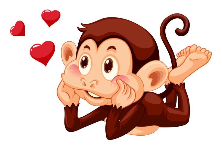 A lovely monkey on white background vector