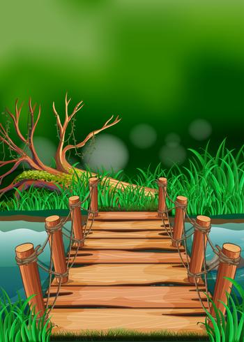 Scene with wooden bridge across the river vector