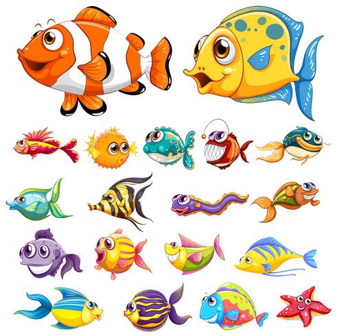 Diferentes tipos de peces vector