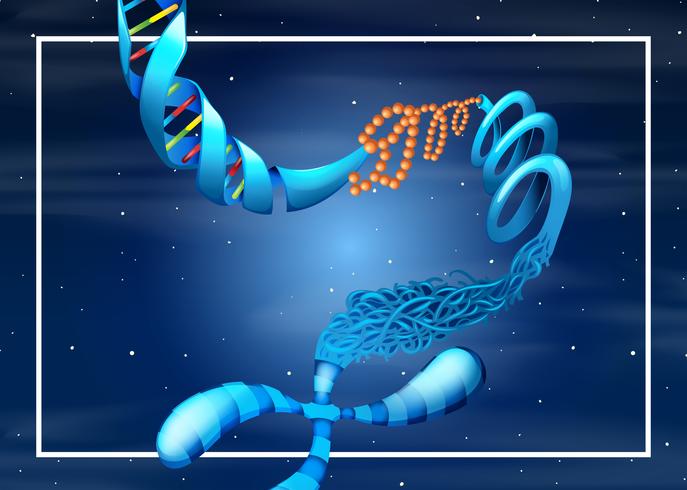 Una plantilla de fondo de ADN vector