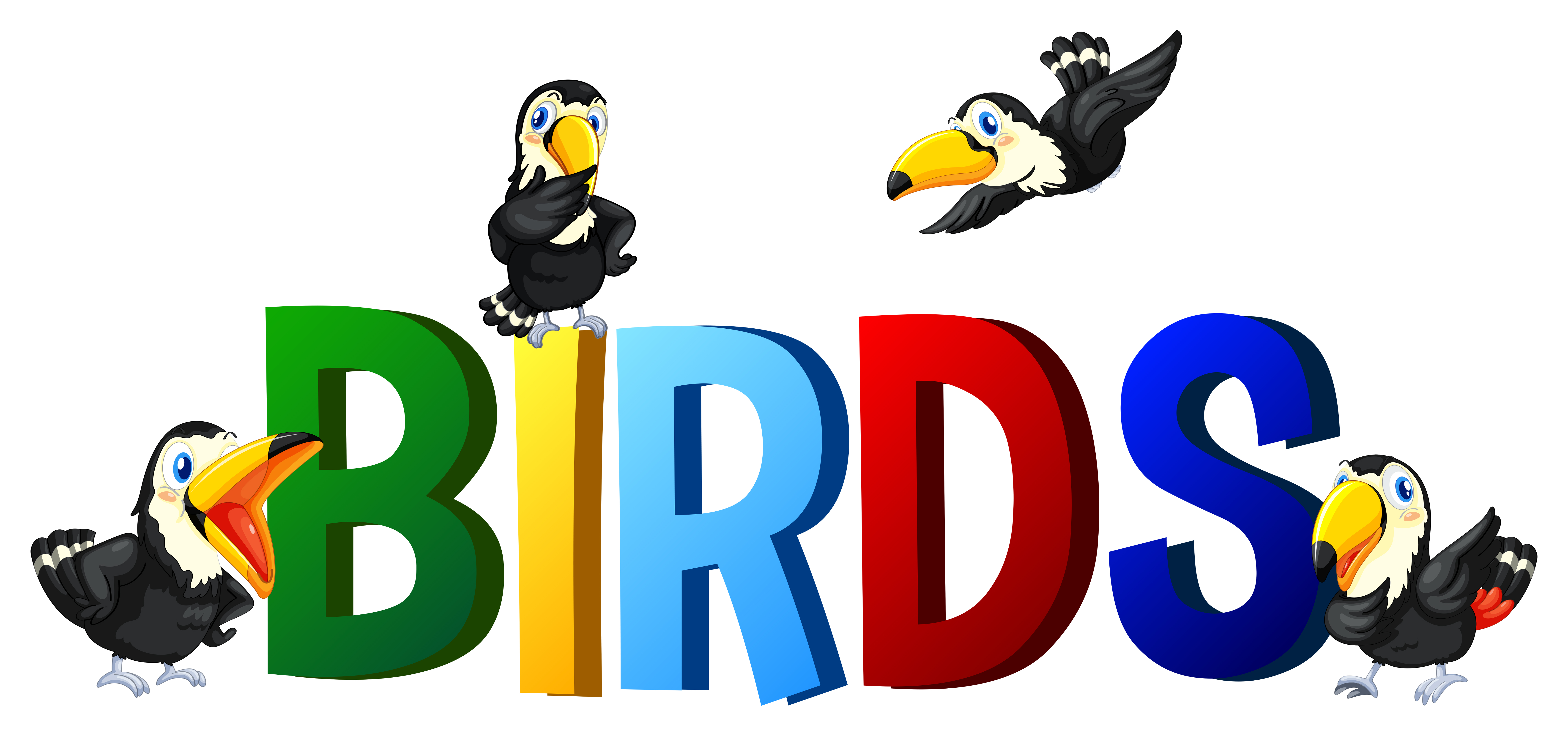 Font design with word birds 446503 Vector Art at Vecteezy