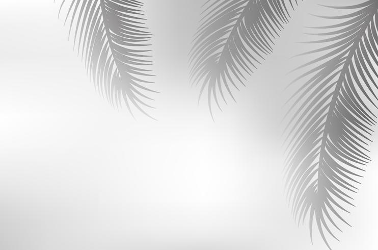 palm leaf graphic shadow vector