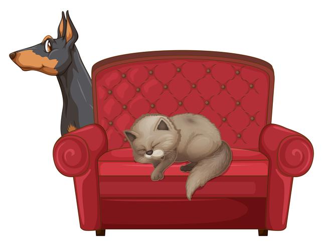 Cute cat and dog on couch  vector