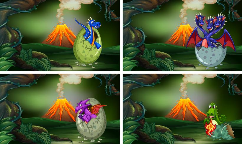 Four dragons hatching eggs in forest vector