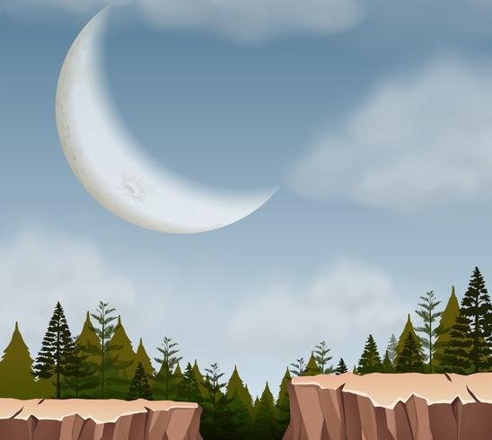 A nature cliff landscape vector