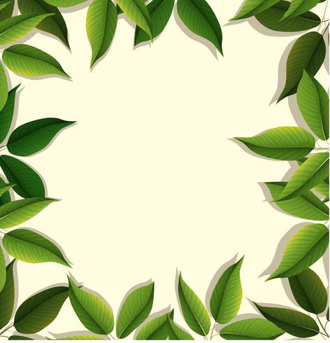 Frame design with green leaves vector