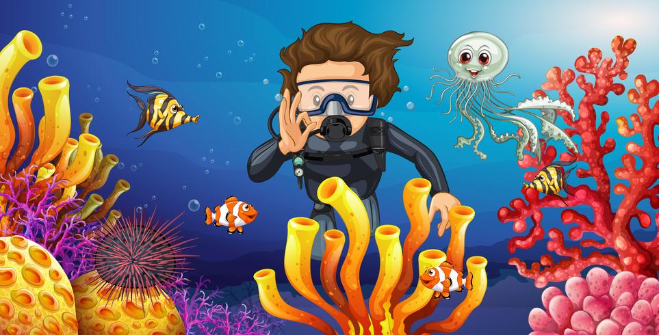 Diver diving underwater with many sea animals vector