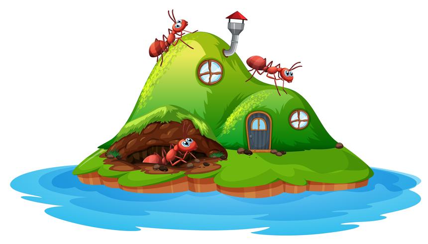 Ant hill house on white background vector