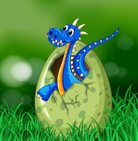 Blue dragon hatching egg on grass vector