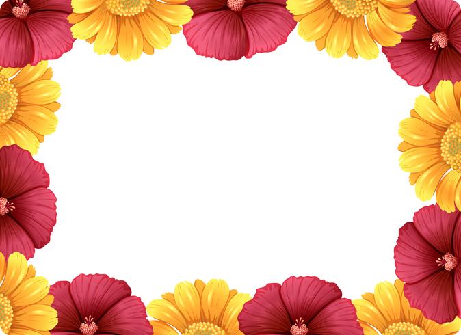 A beautiful flower frame vector