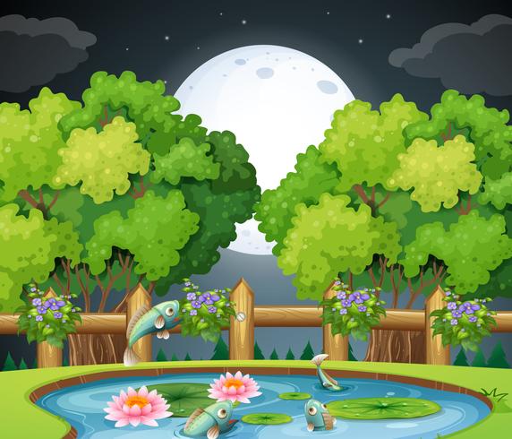 Fish in the pond at nighttime vector