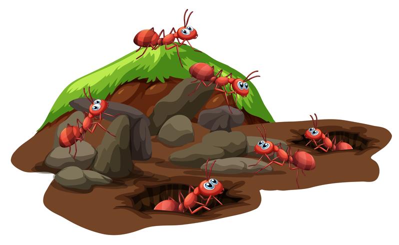 Grupo de hormigas viviendo bajo tierra. vector