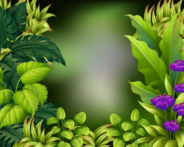 Border design with green leaves 446919 Vector Art at Vecteezy