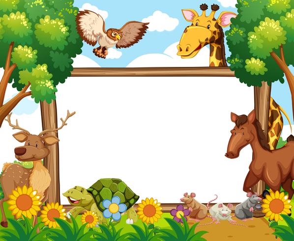 Whiteboard with animals in forest vector