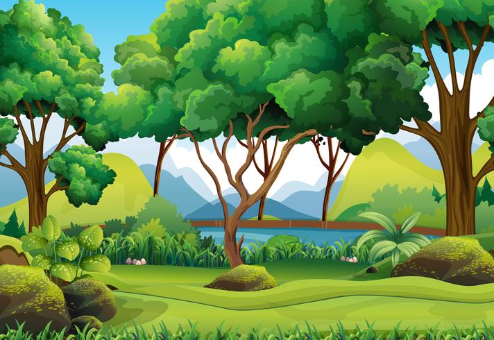 Escena del bosque con rio y arboles. vector