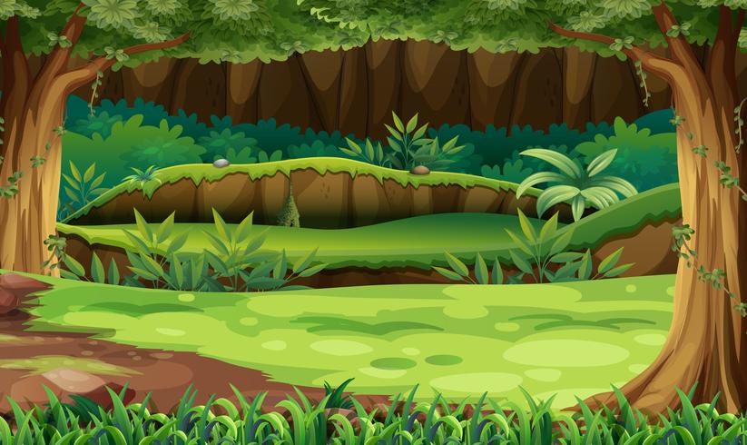 Escena del bosque con arboles y campo. vector