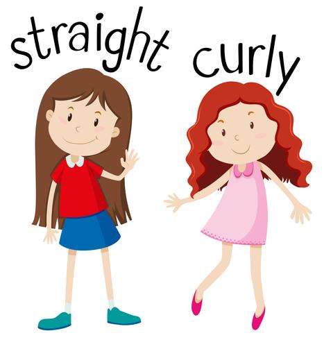 Opposite wordcard for straight and curly vector
