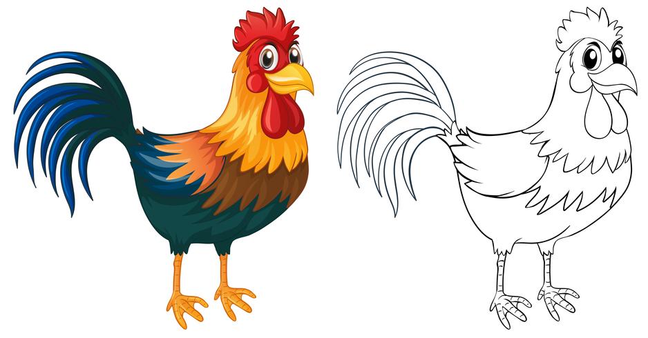 Doodle animal for rooster vector