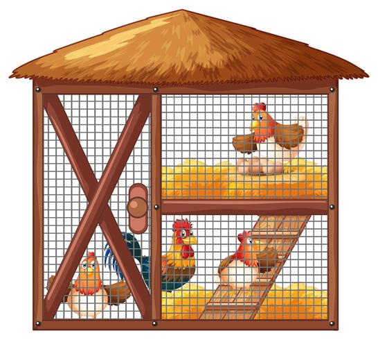 Chickens in chicken coop vector