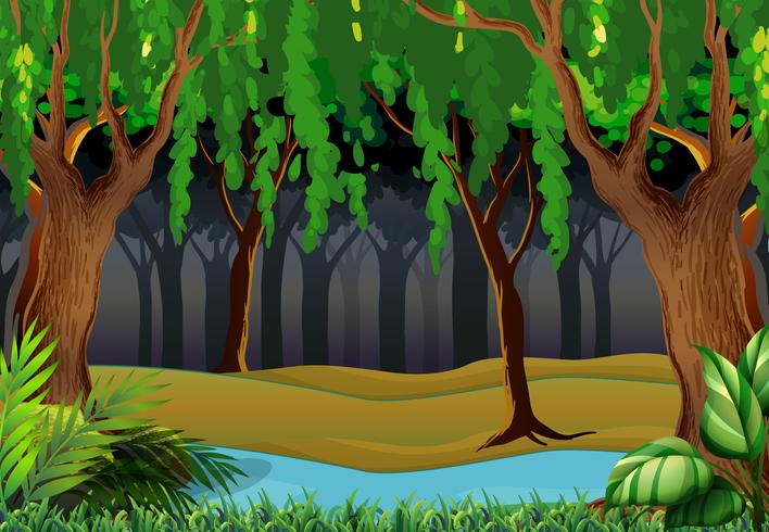 Escena del bosque con arboles y rio. vector