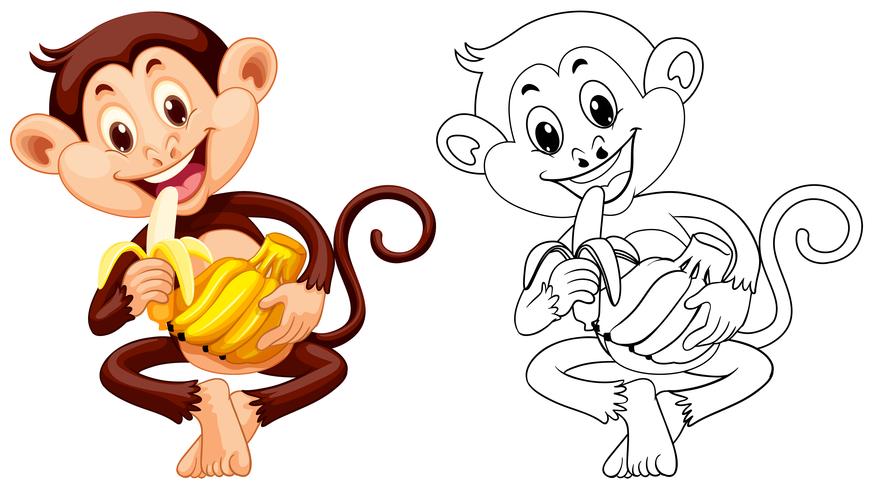 Animal outline for monkey eating banana vector