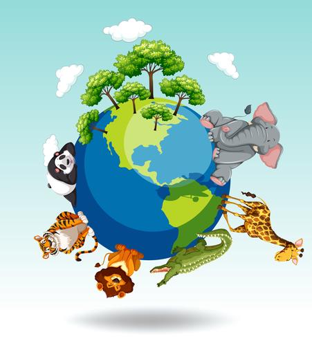 Wild animals around the world vector